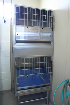 Cages Parvo