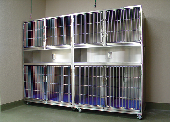 Cages Recovery