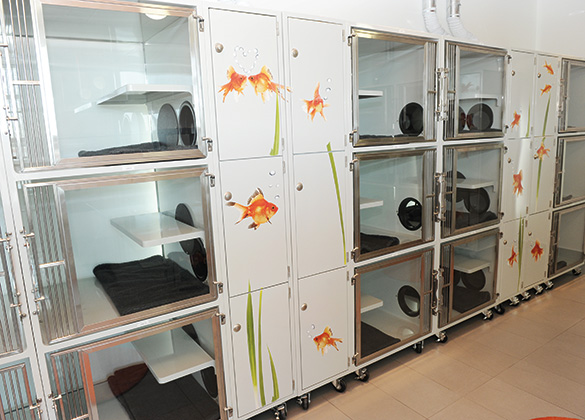CatCondos