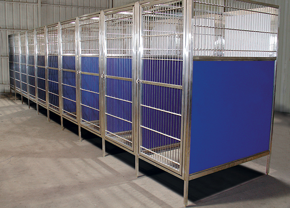 Kennels Raised