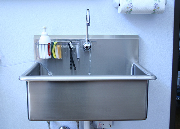 Sinks Scrub