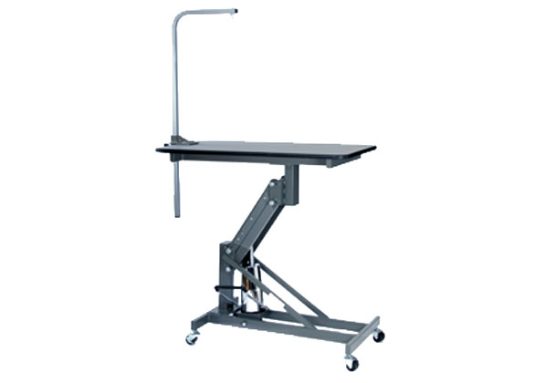 TristarWebsitePlacephotosGroomingTable