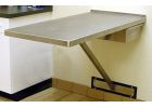 Veterinary Wall Mount-Fixed Exam Table
