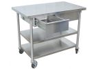 Veterinary Utility Table