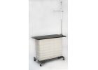 Electric Lowlift