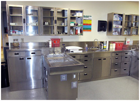 TriStar Vet blog: Veterinary casework (cabinets) with optional pass-through drawers, making it much easier for two people to work on patients.