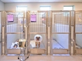 TriStar Vet kennel photo: 2013 Hospital Design Award Winning stainless steel recovery kennels