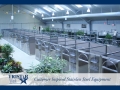 TriStar Vet kennel photo: An extraordinary facility with stainless steel panels and glass doors