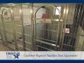 TriStar Vet kennel photo: An elegant solution with stainless steel rod doors and white Starlite panels