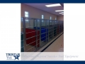 TriStar Vet kennel photo: This practice mixes it up with stainless steel doors and Starlite color panels