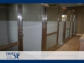 TriStar Vet kennel photo: White Starlite panels let in the light while giving patients privacy