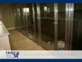 TriStar Vet kennel photo: Little Westies peek through our stainless steel and glass kennel doors