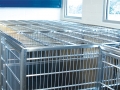 TriStar Vet treatment equipment photo: Our stainless steel kennel cover keeps leaping patients in place