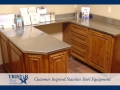 TriStar Vet treatment equipment photo: This u-shape space with stainless steel countertop is super handy