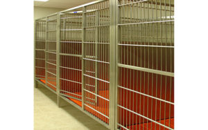 Raised Kennel Rod Door