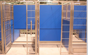 Kennel Guillotine Door