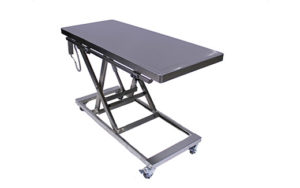 Electric Mobile Lift Table for Veterinarians