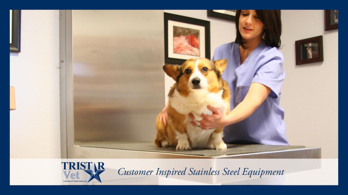 Veterinary Equipment Photo Gallery TriStar Vet