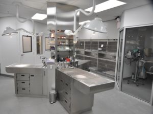 Veterinary Exam Room Fixtures