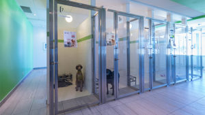 Vet Kennel Systems